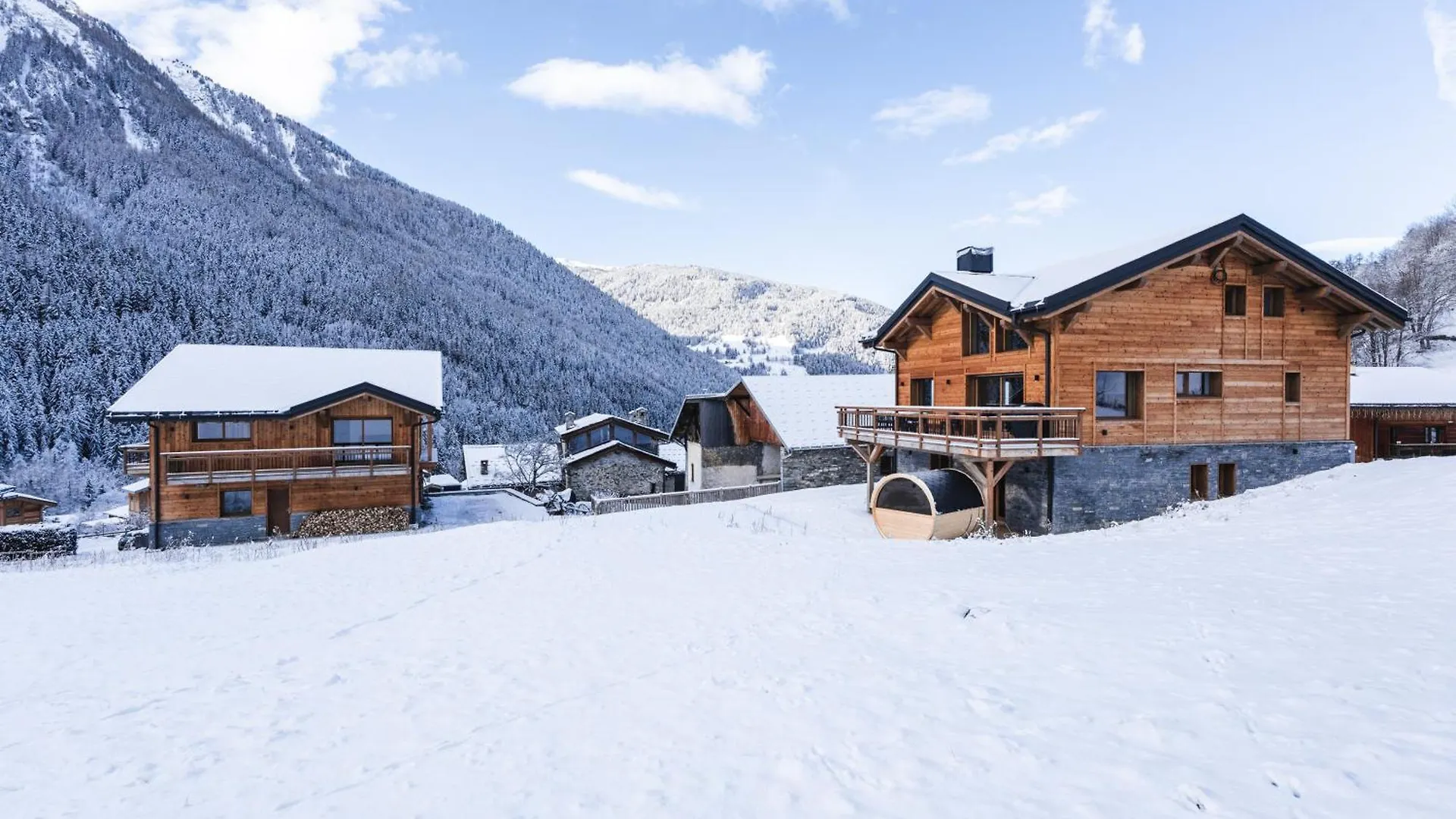 Chalet 12P Peisey-Nancroix France